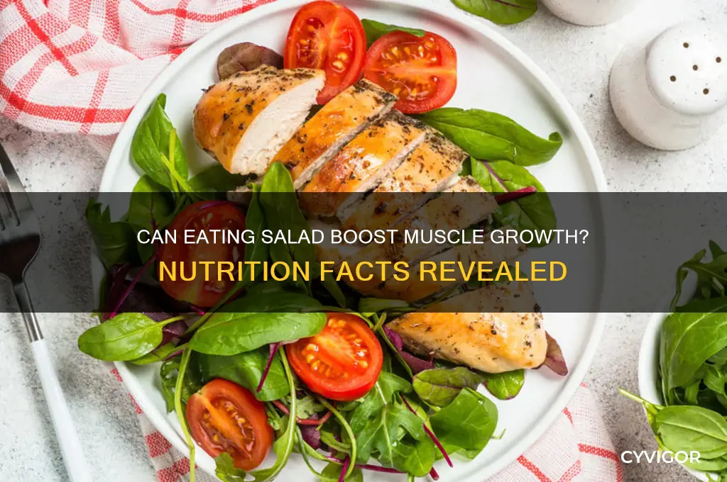 does salad help you gain muscle