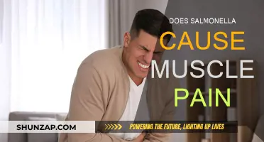 Salmonella's Impact: Muscle Pain and Beyond