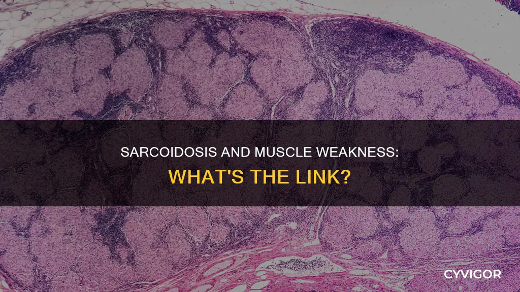 does sarcoidosis cause muscle weakness