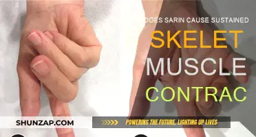 Sarin's Impact: Sustained Skeletal Muscle Contractions Explained