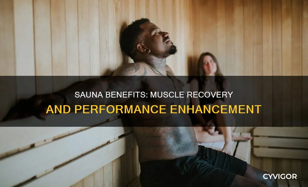 does sauna aid muscle recovery