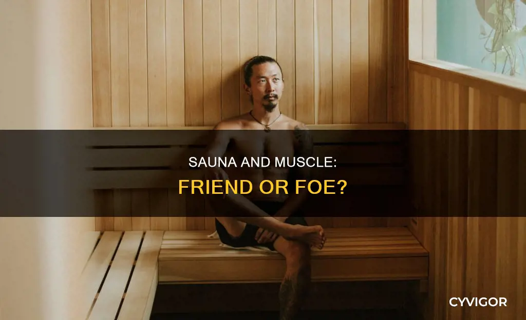does sauna burn muscle