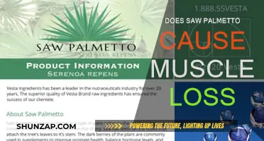Saw Palmetto's Muscle Loss Mystery: Fact or Fiction?