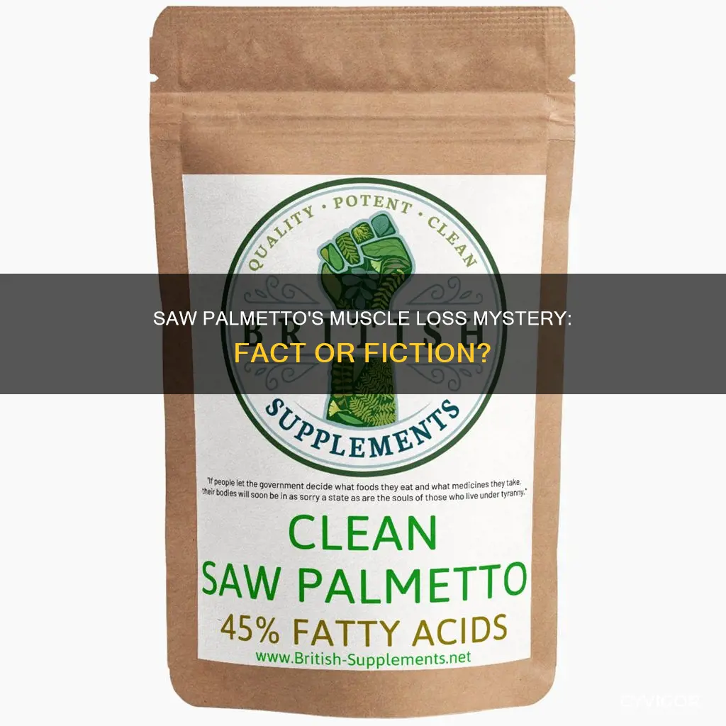 does saw palmetto cause muscle loss