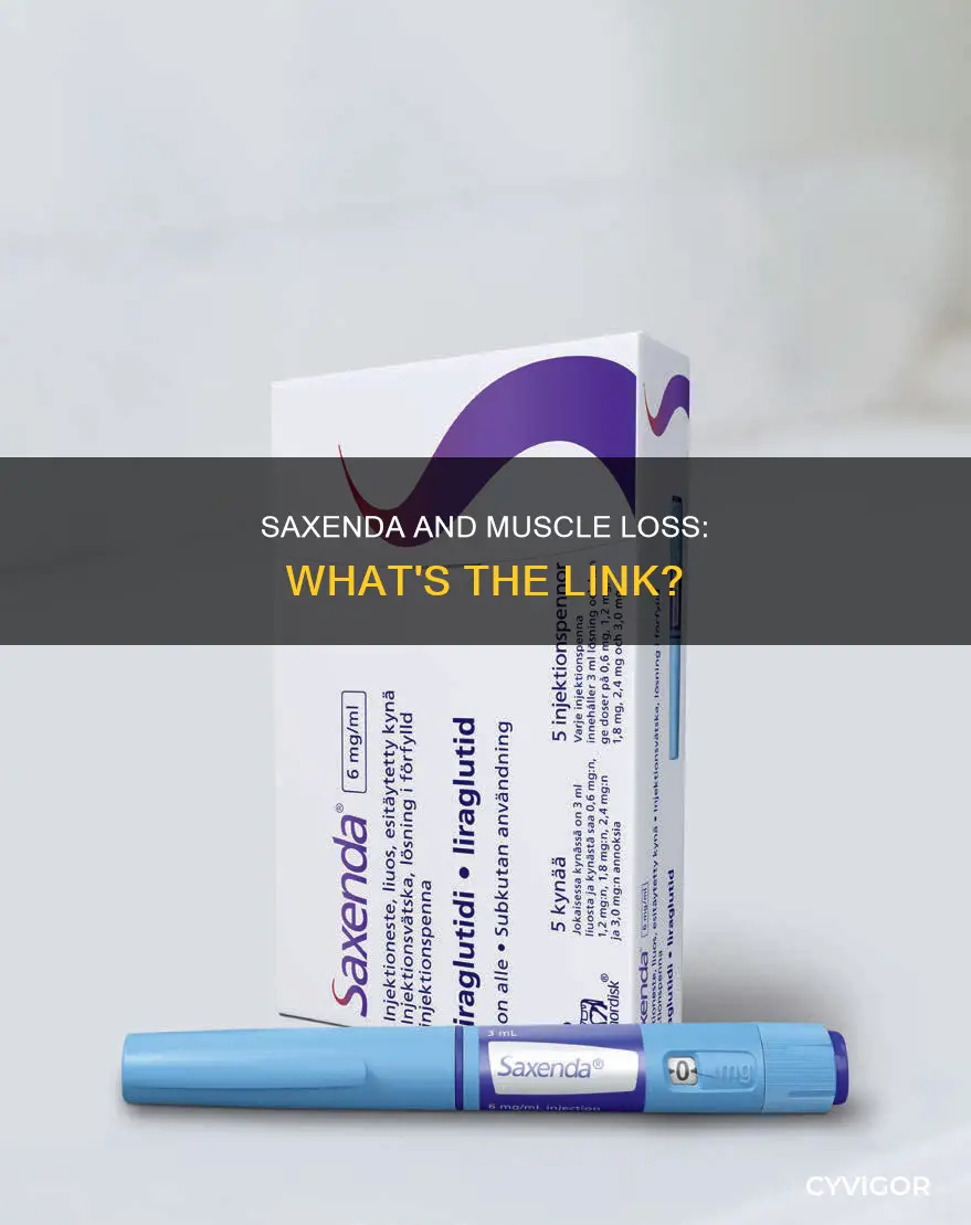 does saxenda cause muscle loss