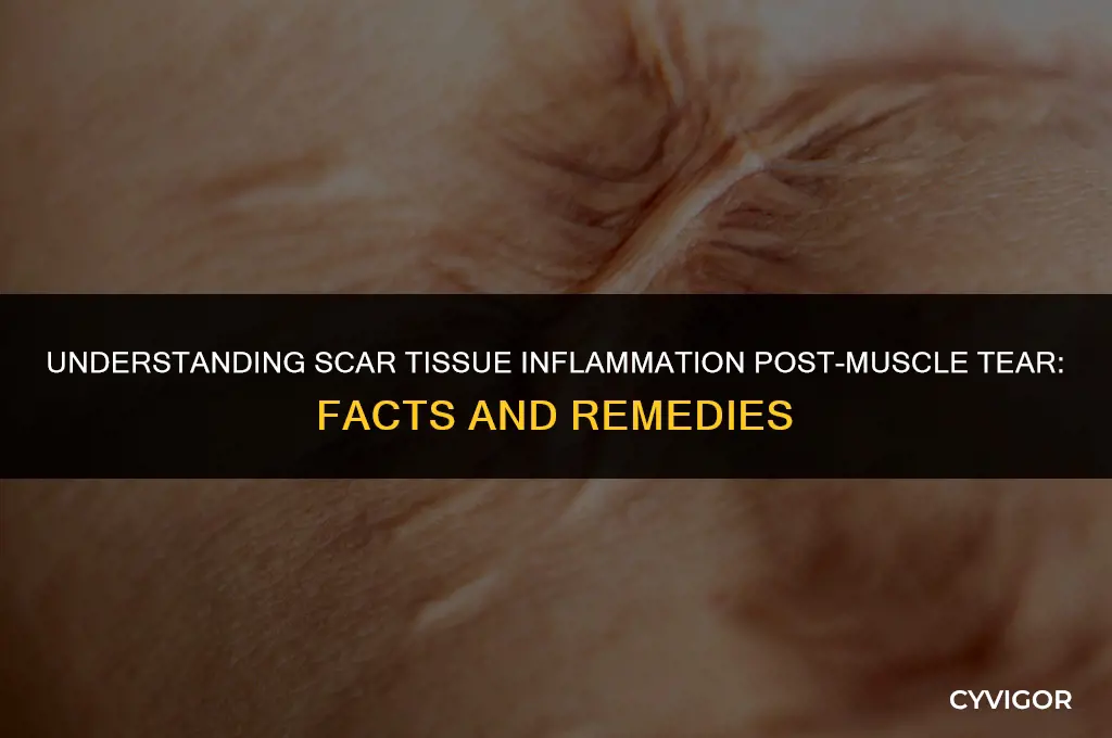 does scare tissue from muscle tear get inflamed