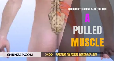 Sciatic Nerve Pain vs. Pulled Muscle: Understanding the Difference
