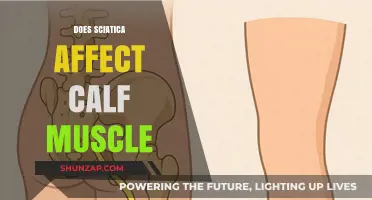 Exploring Sciatica's Impact on Calf Muscles: A Comprehensive Guide