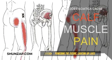 Sciatica and Calf Pain: What's the Connection?