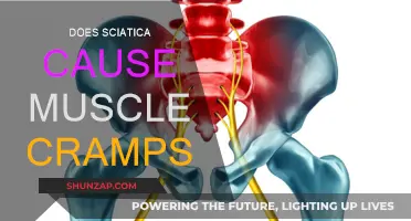 Sciatica and Muscle Cramps: What's the Connection?