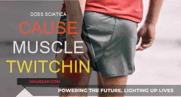 Sciatica and Muscle Twitching: What's the Connection?