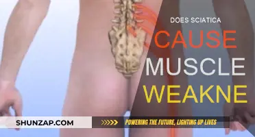 Sciatica and Muscle Weakness: What's the Connection?