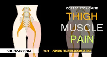 Thigh Pain and Sciatica: What's the Connection?