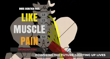 Sciatica vs. Muscle Pain: Understanding the Key Differences and Symptoms