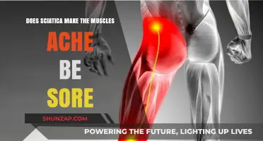Sciatica and Muscle Pain: Understanding Aches and Soreness Causes