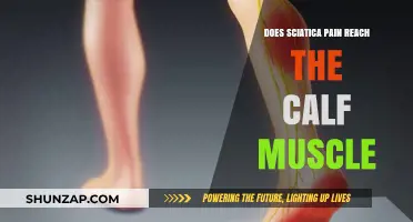 Sciatica Pain in Calf Muscles: Causes, Symptoms, and Relief Explained