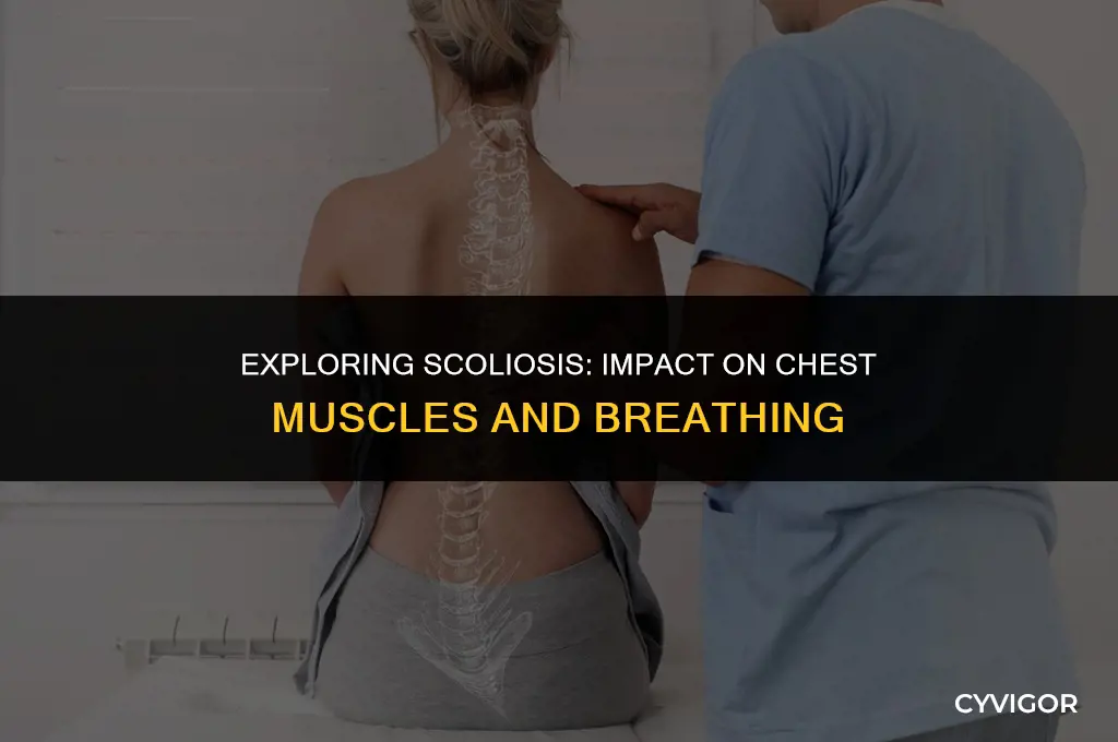 does scoliosis affect the chest muscles