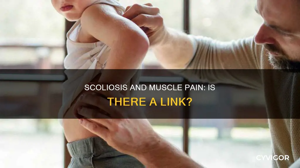 does scoliosis cause muscle pain
