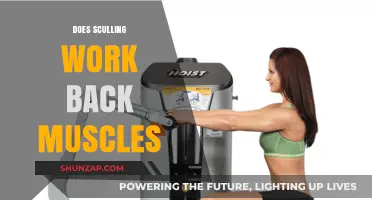 Sculling for Back Strength: Effective Workout or Myth?