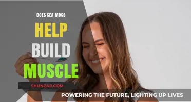 Unlocking the Potential: Sea Moss and Muscle Building Explained