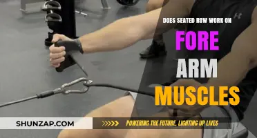 Seated Row Exercise: Forearm Muscle Engagement Explained