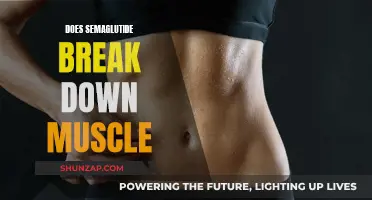 Semaglutide's Impact: Friend or Foe to Muscle Mass?