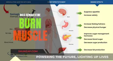 Semaglutide's Muscle-Burning Mystery: Fact or Fiction?