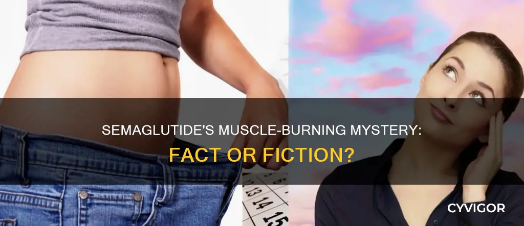 does semaglutide burn muscle