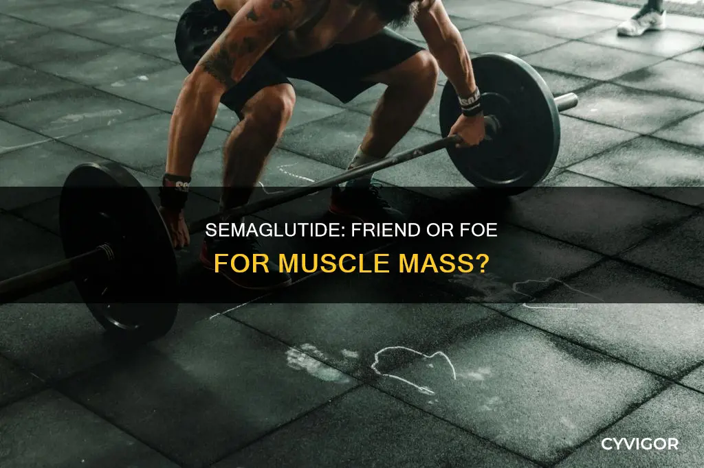 does semaglutide cause loss of muscle mass