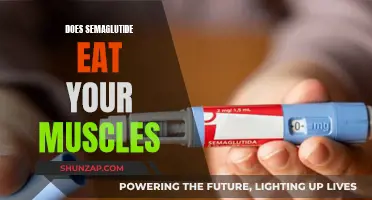 Semaglutide: Muscle Loss or Gain?