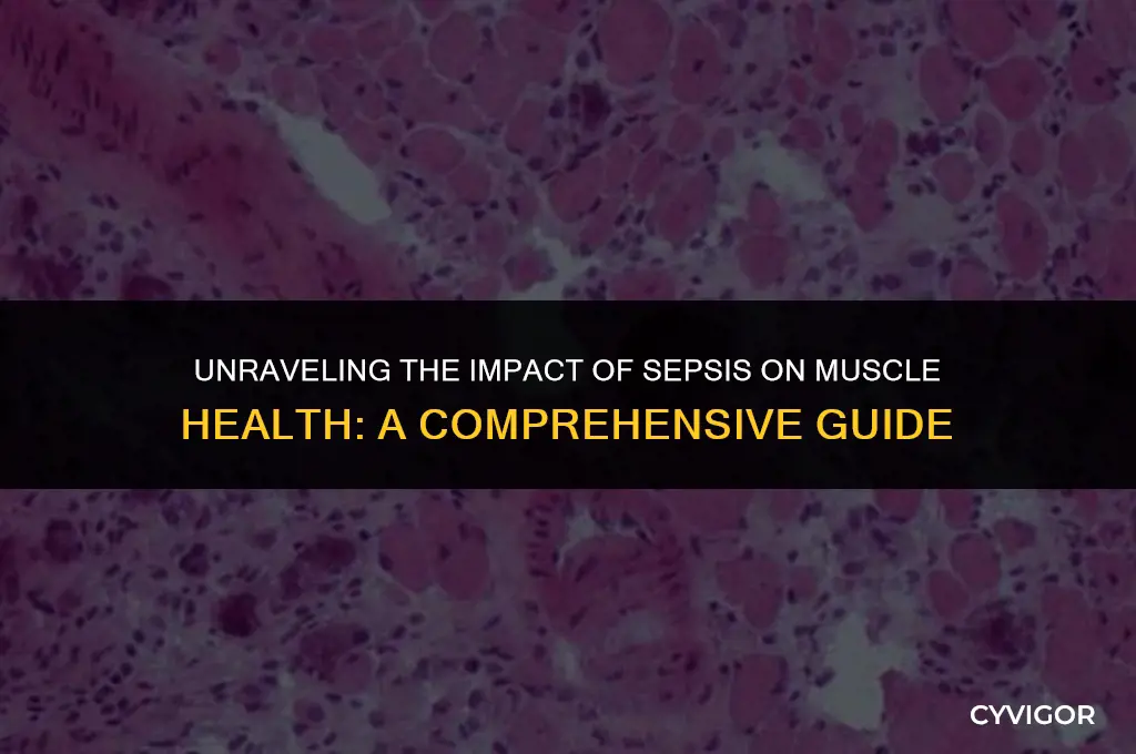 does sepsis affect muscles
