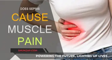 Sepsis and Muscle Pain: Understanding the Link