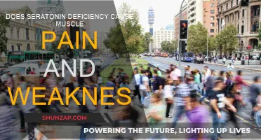 Serotonin Deficiency: Understanding Muscle Pain and Weakness