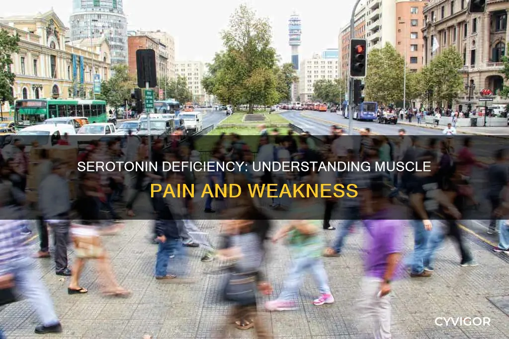 does seratonin deficiency cause muscle pain and weakness