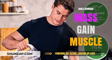Does Serious Mass Build Muscle? A Comprehensive Analysis and Review