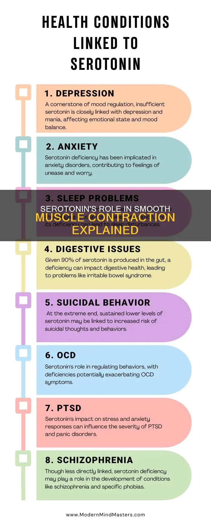 does serotonin cause smooth muscle contraction