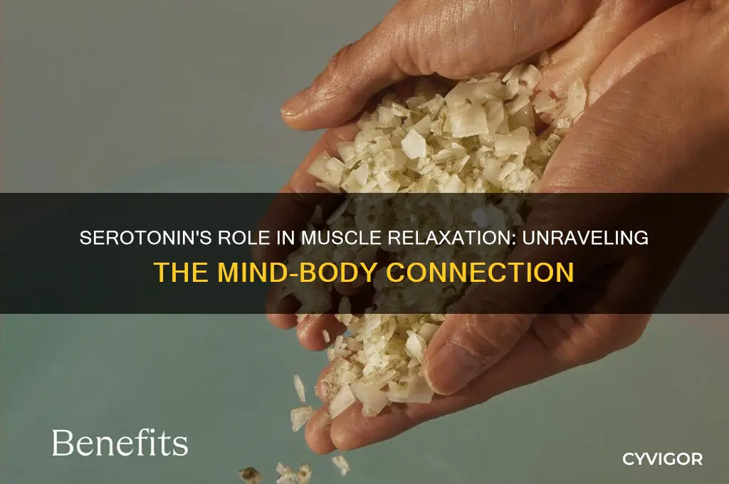 does serotonin relax muscles