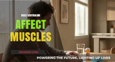 Exploring the Impact of Sertraline on Muscle Health and Function