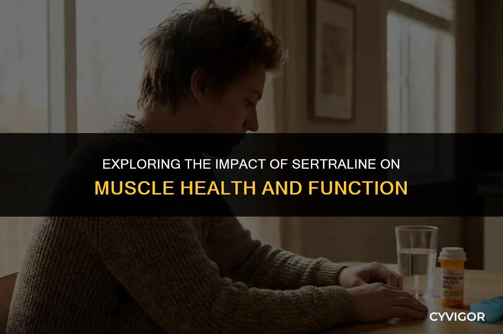 does sertraline affect muscles