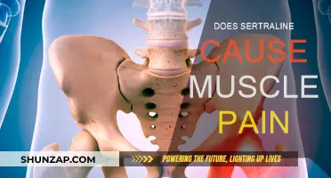Sertraline Side Effects: Muscle Pain Explained