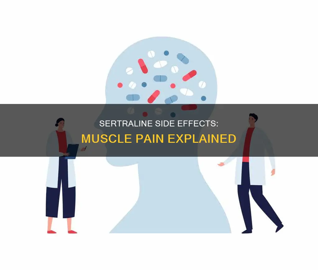 does sertraline cause muscle pain