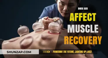 Exploring the Impact of Sexual Activity on Muscle Recovery