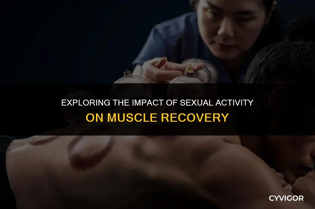 does sex affect muscle recovery