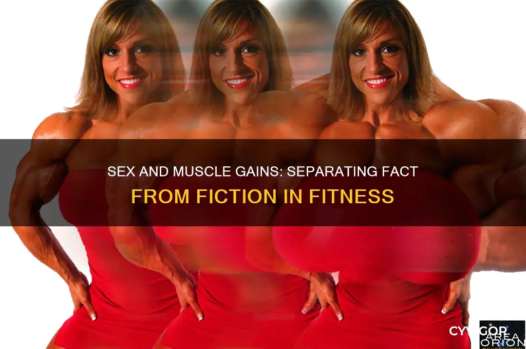 does sex decrease muscle gains