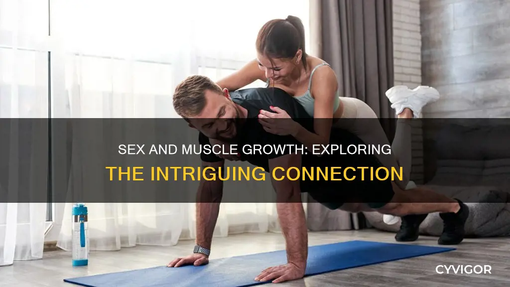 does sex increase muscle