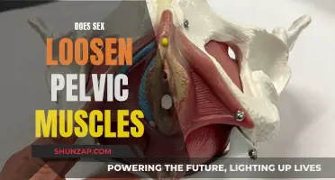 Sex and Pelvic Muscles: The Truth About Looseness