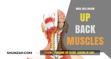 Exploring the Connection: Can Sexual Activity Relieve Back Muscle Tension?
