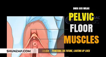 Does Sex Relax Pelvic Floor Muscles? Exploring the Surprising Connection