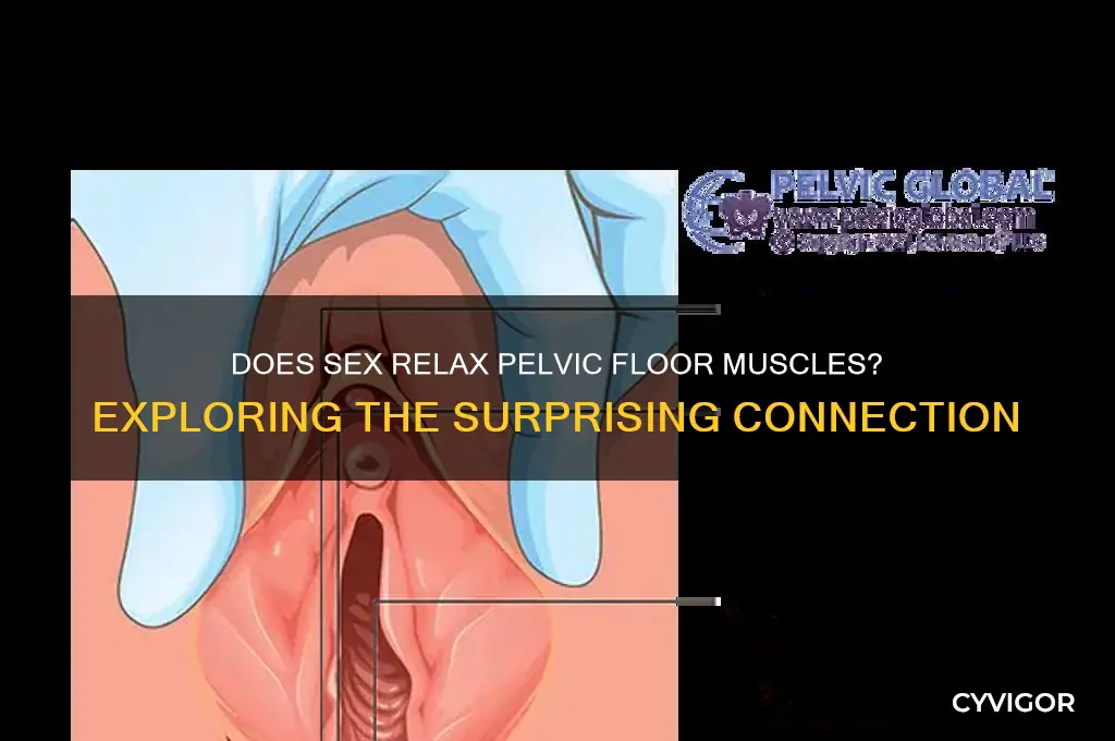 does sex relax pelvic floor muscles