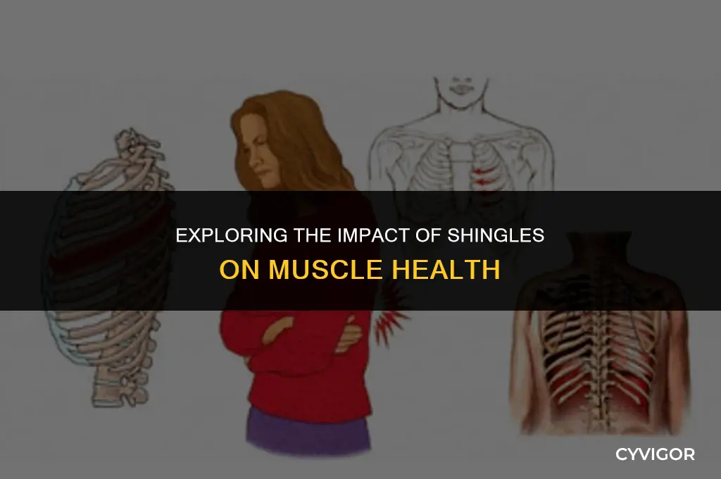 does shingles affect muscles